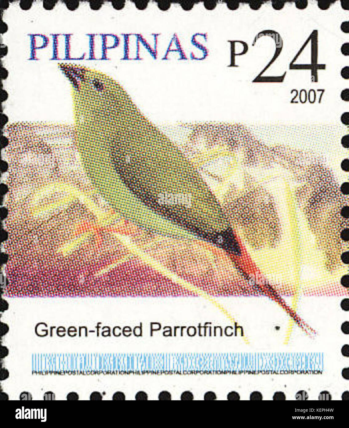 Erythrura viridifacies 2007 timbro delle Filippine Foto Stock