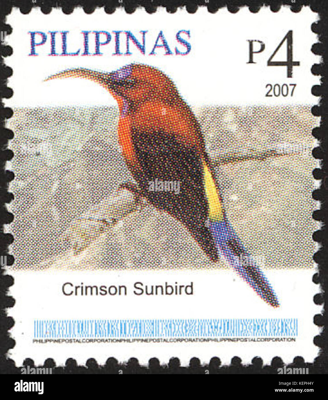 Aethopyga magnifica 2007 timbro delle Filippine Foto Stock