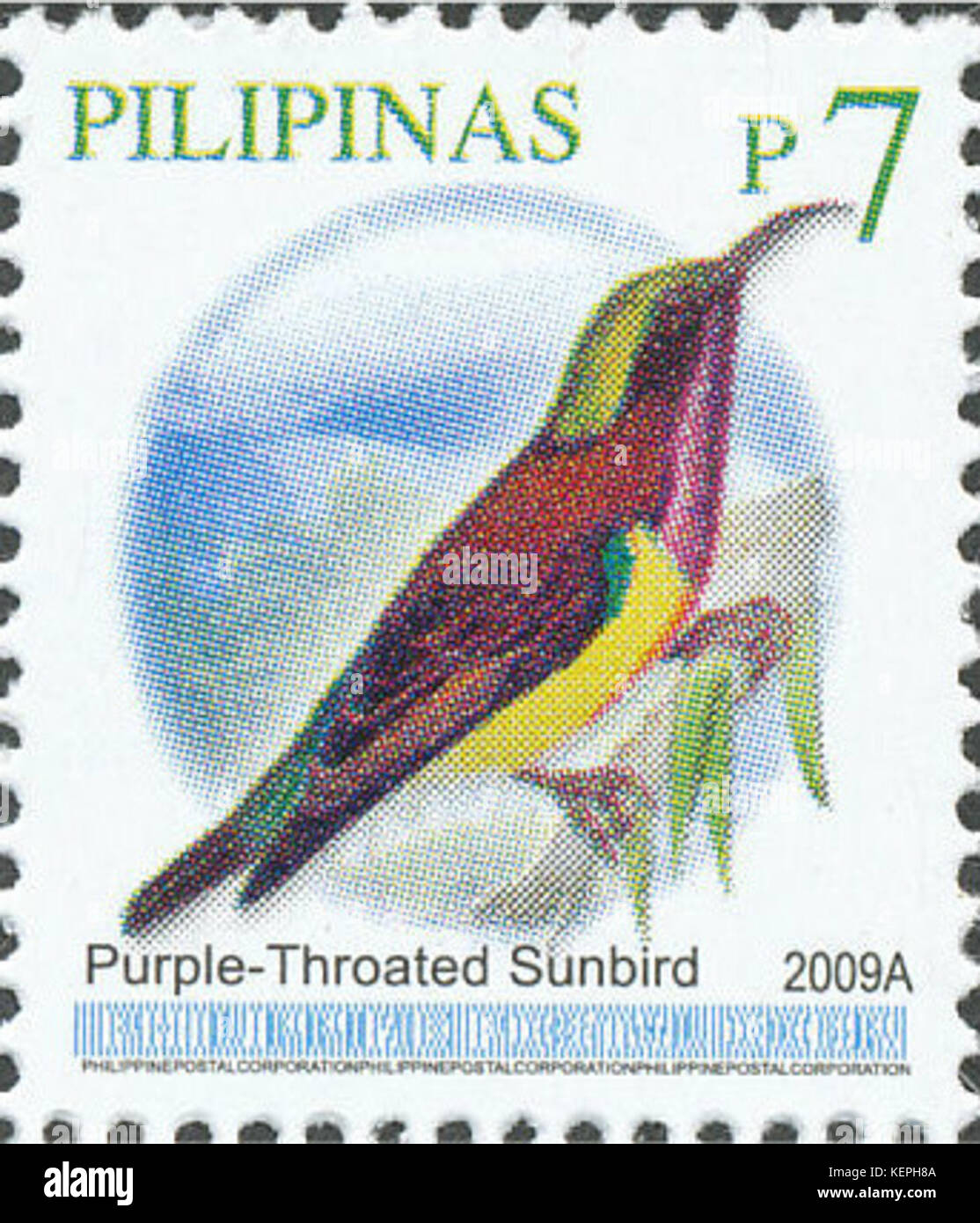 Leptocoma sperata 2009 timbro delle Filippine Foto Stock
