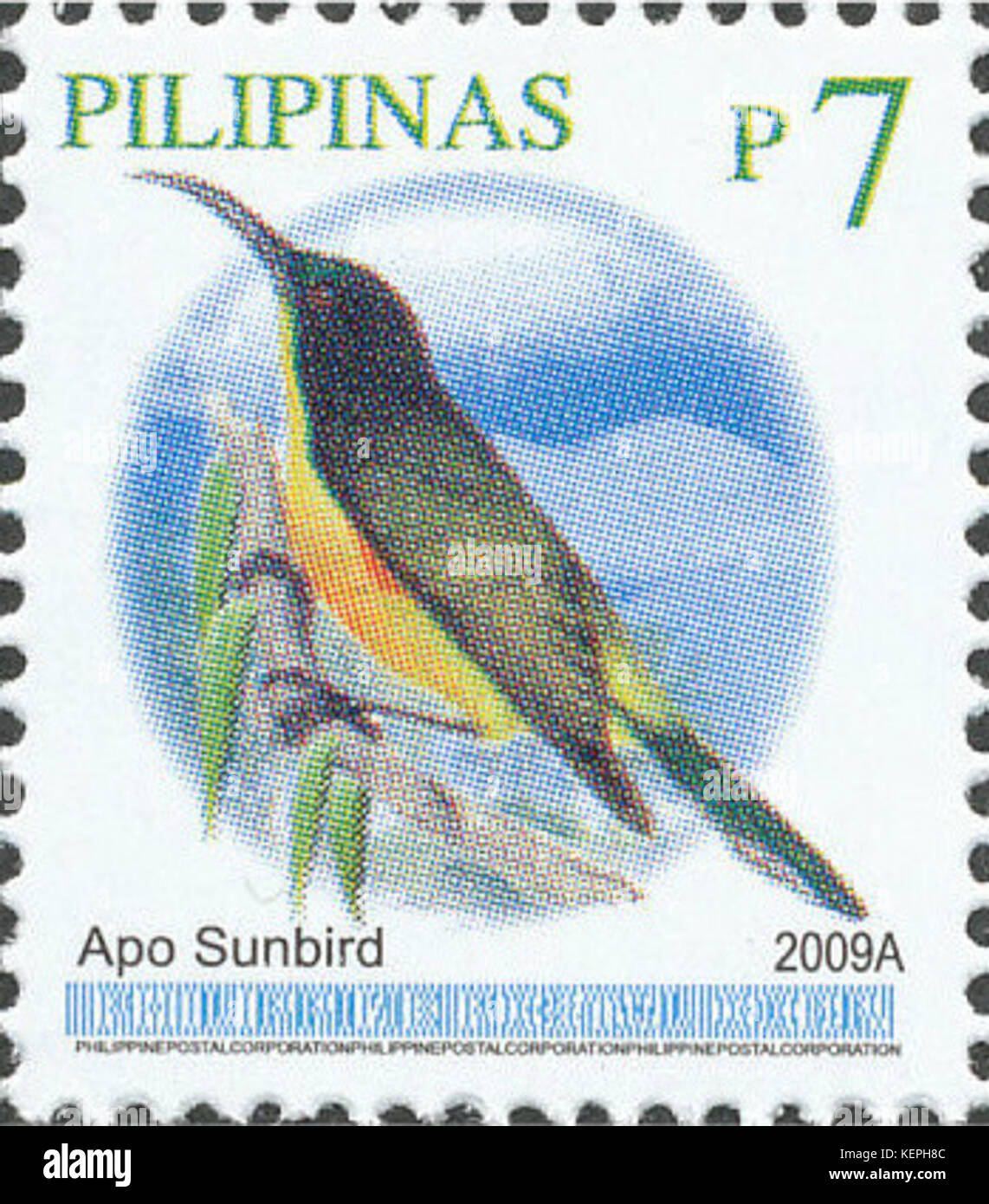 Aethopyga boltoni 2009 timbro delle Filippine Foto Stock