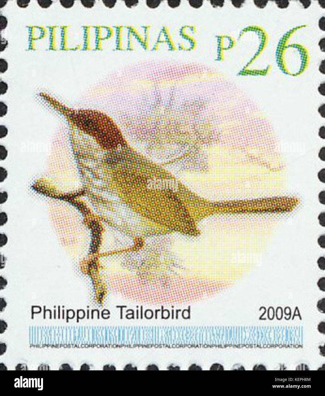 Orthotomus castaneiceps 2009 timbro delle Filippine Foto Stock