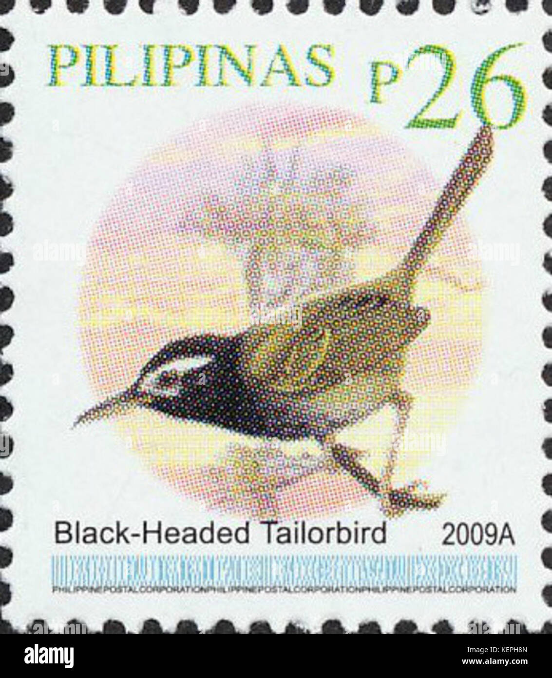 Orthotomus nigriceps 2009 timbro delle Filippine Foto Stock