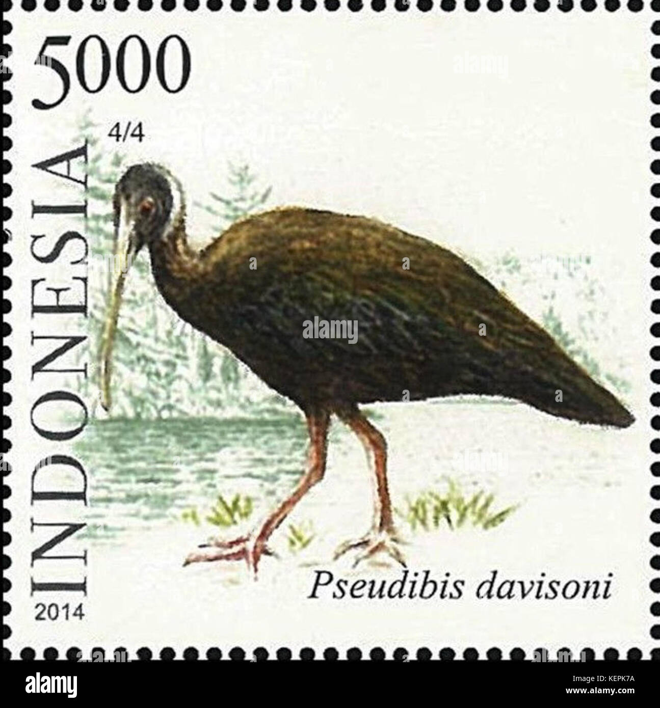 Pseudibis davisoni 2014 timbro dell Indonesia Foto Stock