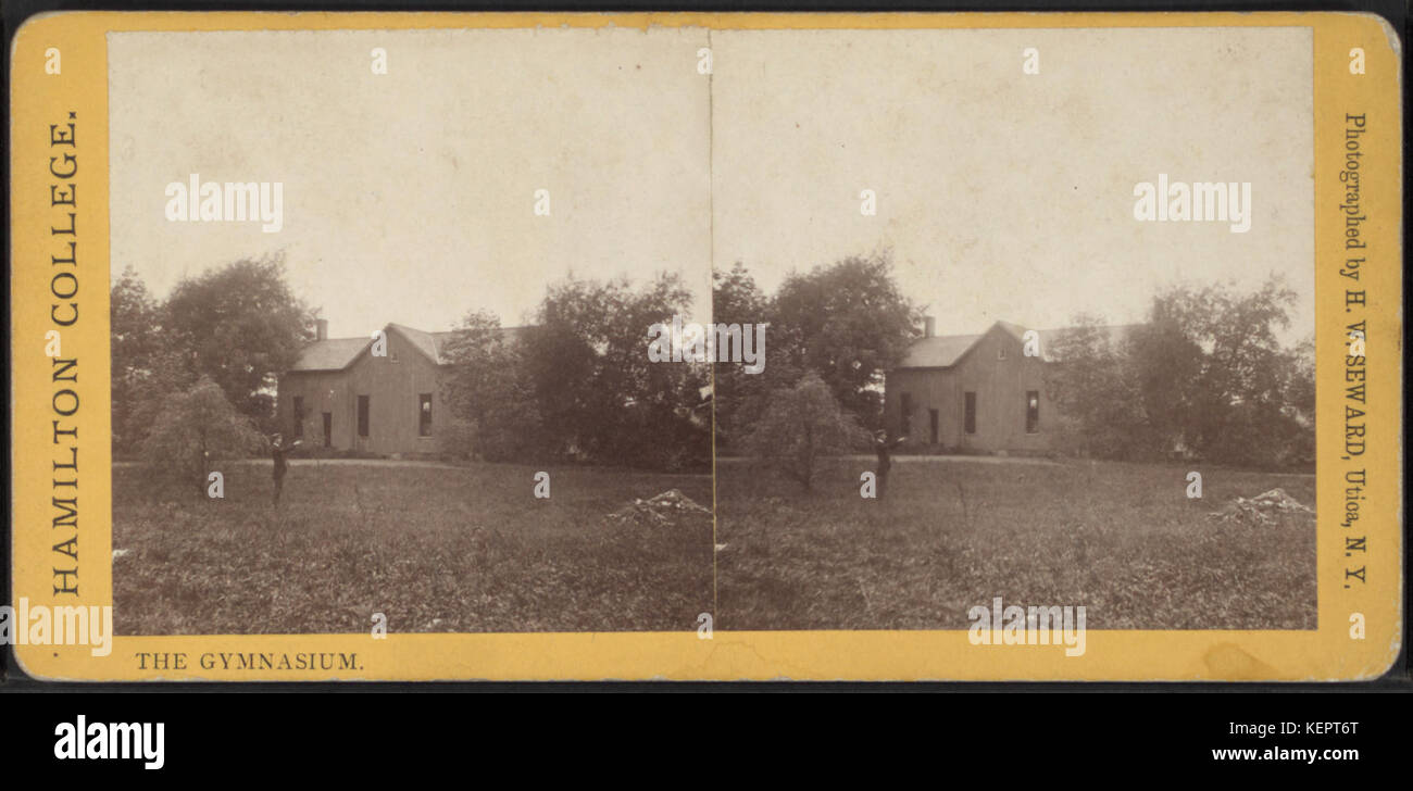 La palestra, da Seward, H. W. (H. Walton), d. 1871 Foto Stock