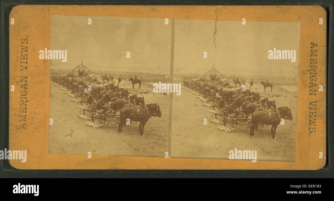 Pronto per l'aratura con una coppia di cavalli, da Robert N. Dennis raccolta di vista stereoscopica Foto Stock