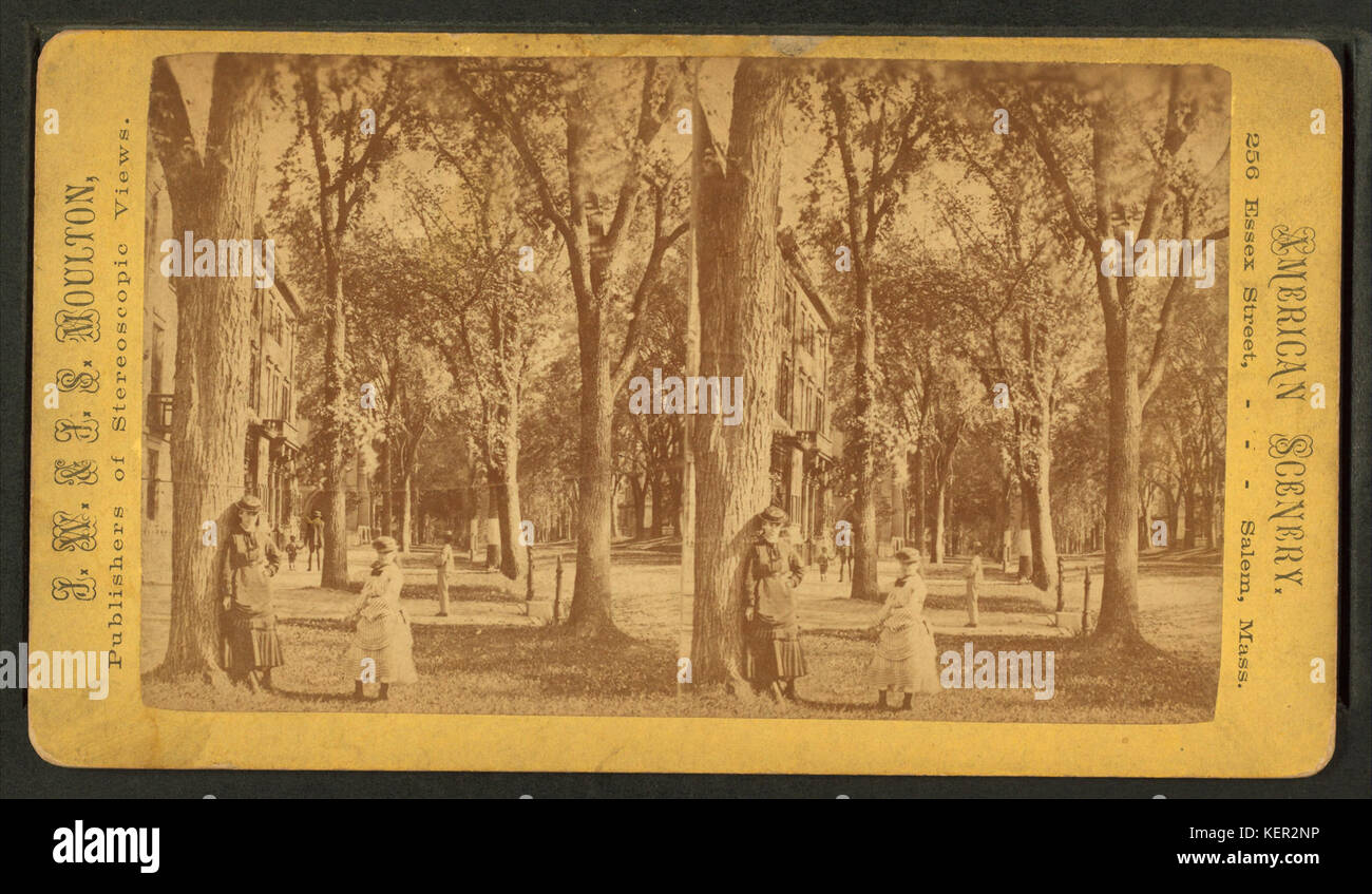 Questa fotografia scattata da J. W. & J. S. Moulton cattura State Street da Congress Street. L'immagine offre una vista storica della strada all'inizio del XX secolo, che mostra lo sviluppo urbano del tempo. Foto Stock