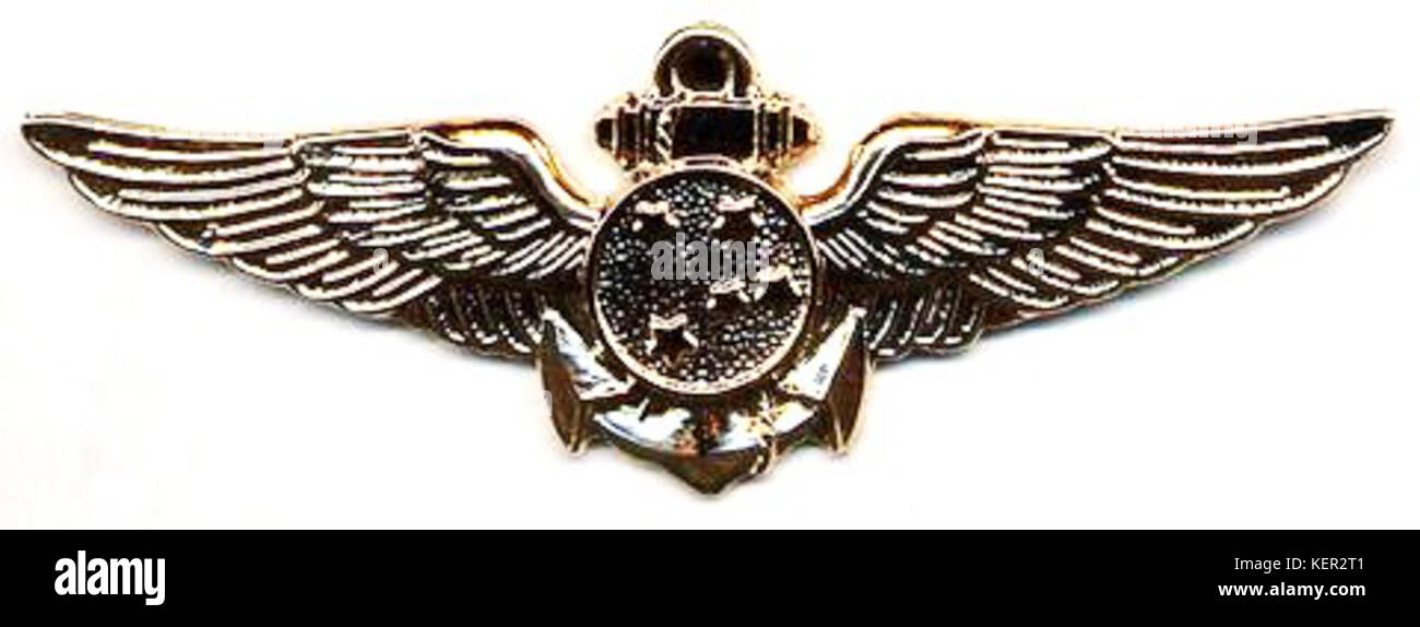 Brasiliano Aviazione Navale badge pilota Foto Stock