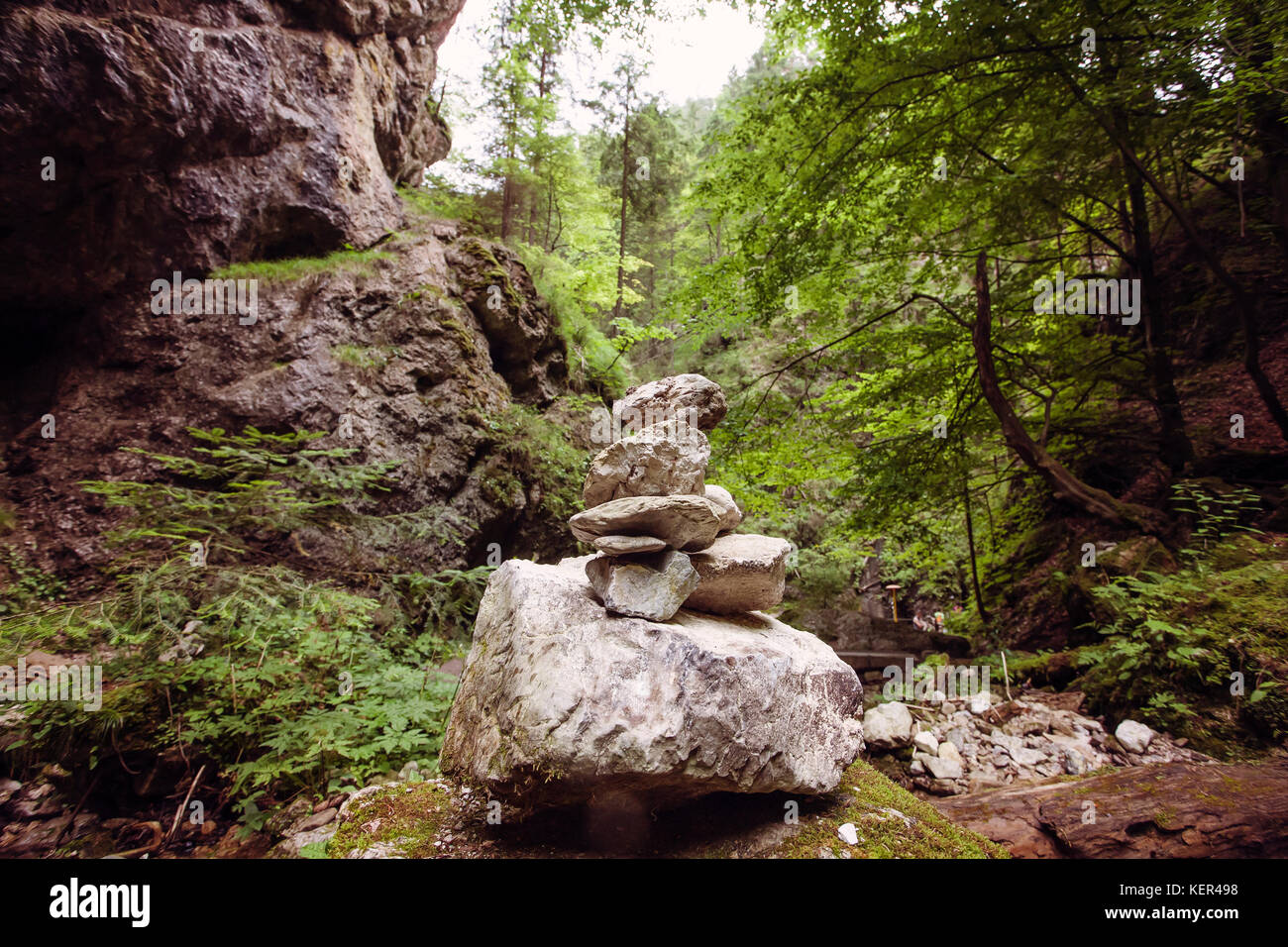 Zen pietre nella natura selvaggia Foto Stock