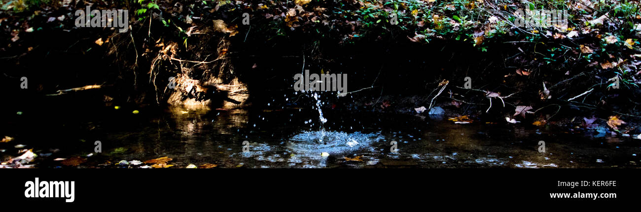 Walnut Street park fuori percorso di esplorazione Foto Stock