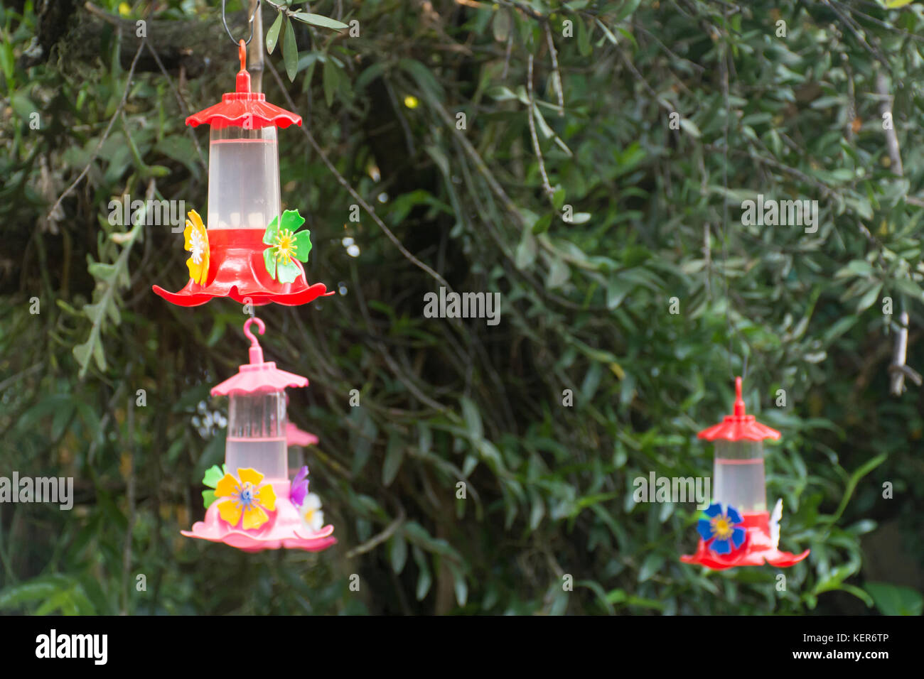 Hummingbird alimentatore in un giardino Foto Stock