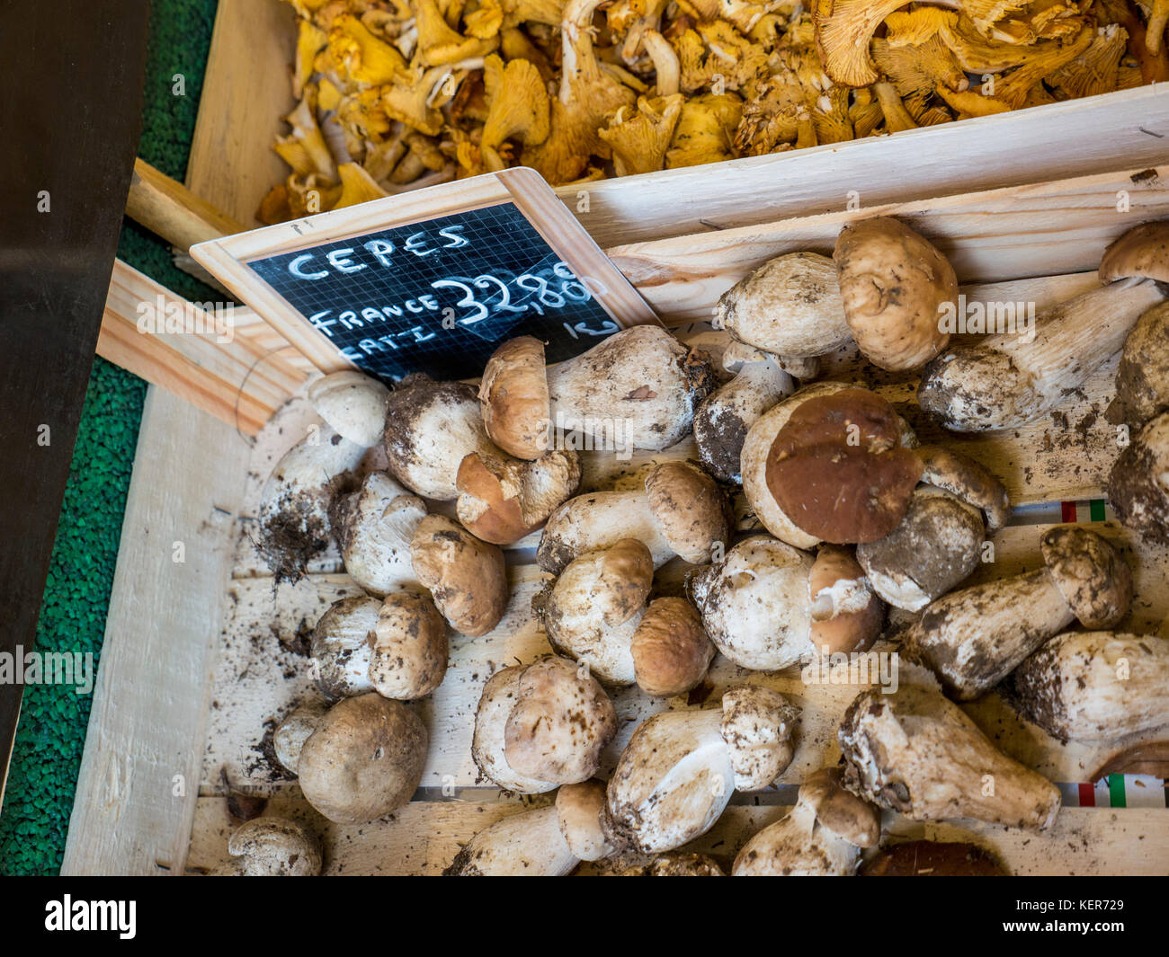 Funghi cespi francesi CEPES PORCINI in vendita nella bancarella del mercato agricolo, in cassa rustica di legno con etichetta di prezzo della lavagna Bretagna Francia Foto Stock