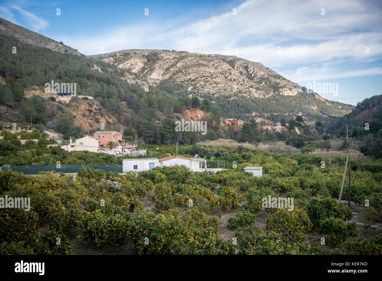 Orange grove e andslide danni dopo forti tempeste e condizioni meteorologiche estreme, Guadalest, Spagna Foto Stock