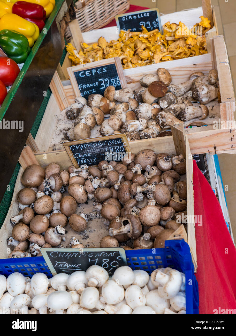Bancarelle di funghi francesi nel mercato agricolo della Bretagna con selezione di Champignons Girolles Cepes Brown e White in casse rustiche di legno Concarneau Bretagna Foto Stock