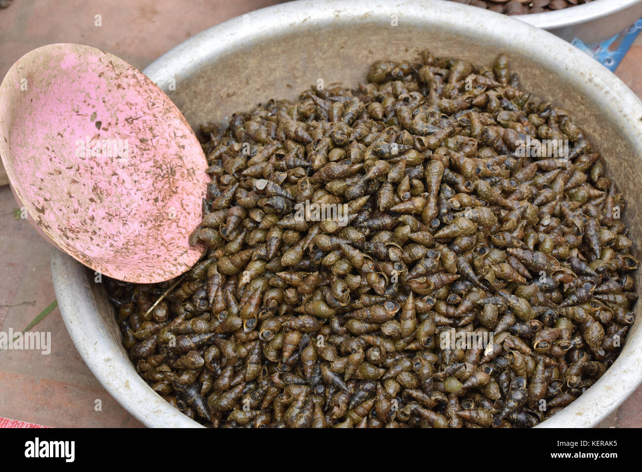 Lumache commestibili, mercato mattutino, Luang Prabang Foto Stock