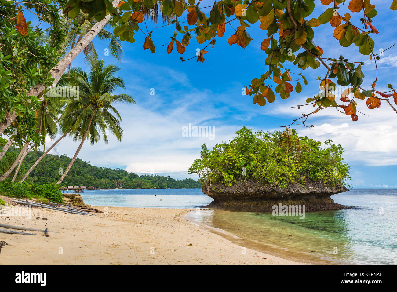 Spiaggia di isola di Waigeo. Raja Ampat, Papua occidentale, in Indonesia. Foto Stock
