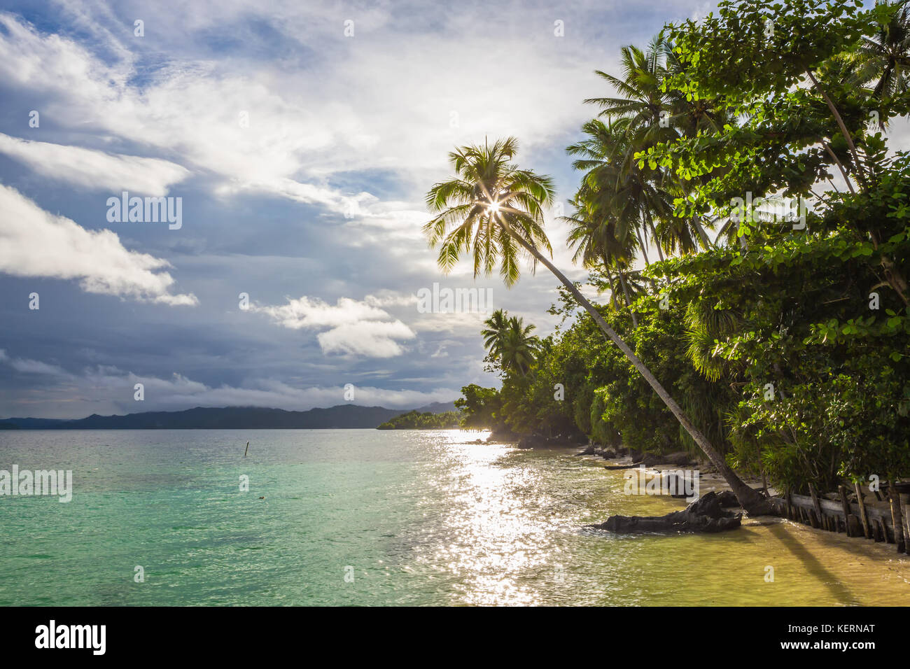 Vista della spiaggia di Isola di Waigeo. Raja Ampat, Papua occidentale, in Indonesia. Foto Stock