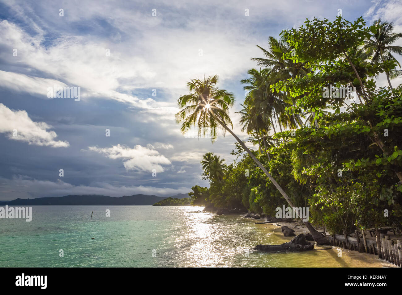Vista della spiaggia di Isola di Waigeo. Raja Ampat, Papua occidentale, in Indonesia. Foto Stock