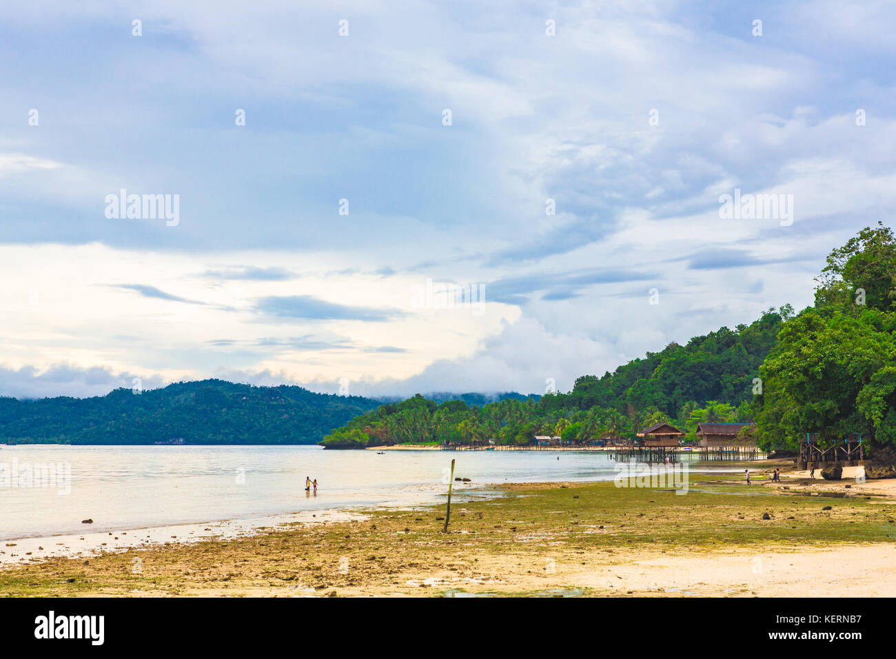 Spiaggia di Raja Ampat, Papua occidentale, in Indonesia. Foto Stock