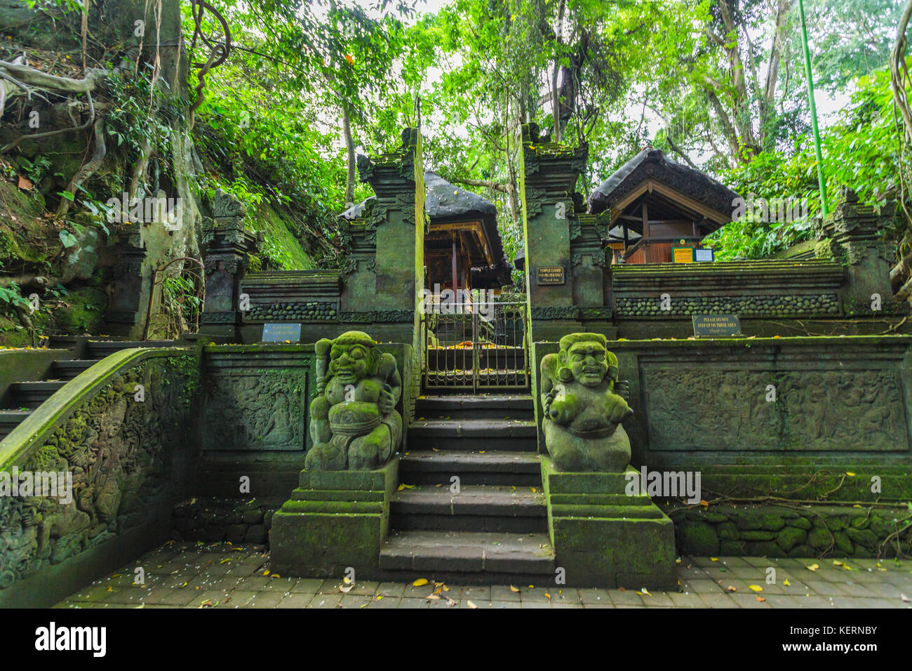 : L'Ubud Monkey Forest tempio di Bali, Indonesia. Foto Stock