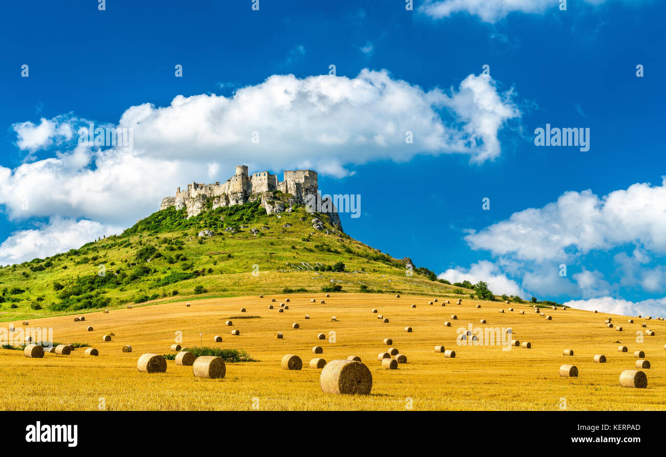 Vista di spissky hrad e un campo con balle rotonde in Slovacchia, Europa centrale Foto Stock