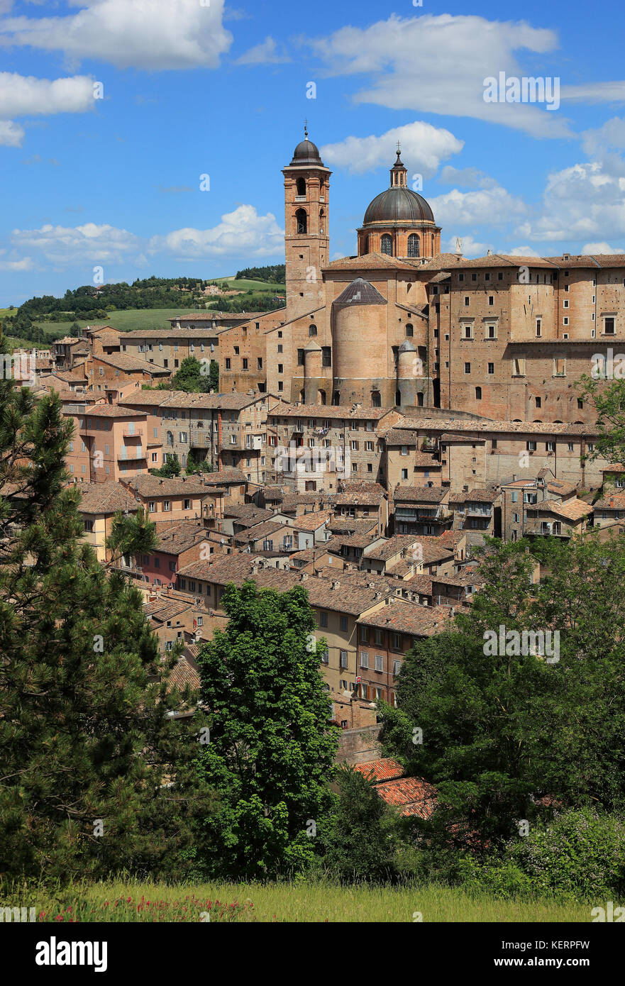 Vista di Urbino con il palazzo ducale e il palazzo ducale e la cattedrale, marche, Italia Foto Stock