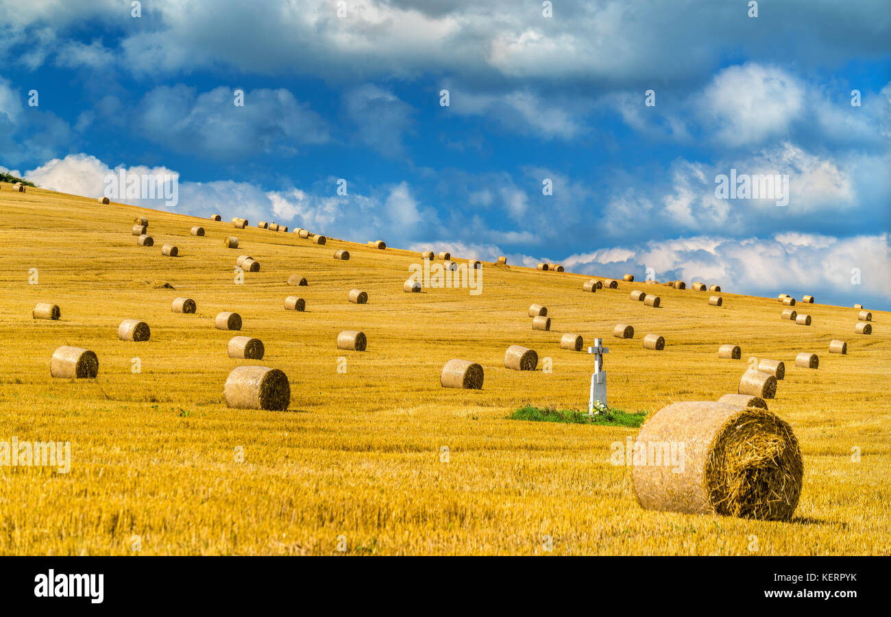 Le balle di paglia su un campo di grano in Slovacchia Foto Stock