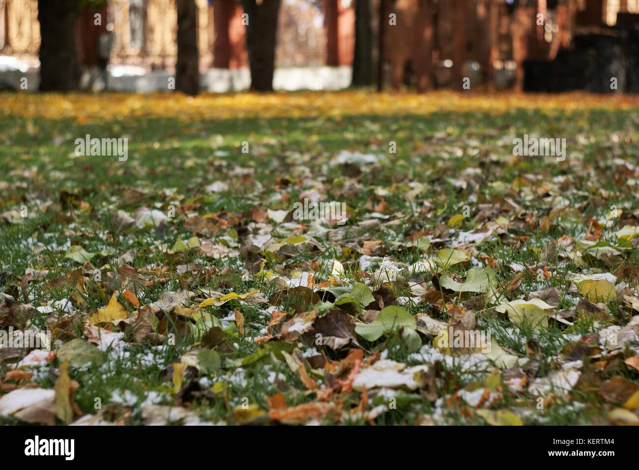 Si tratta di una nuova stagione Foto Stock