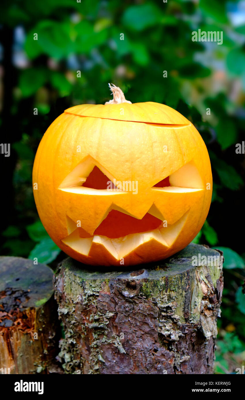 Scary arancione zucca di Halloween con arrabbiato cercando faccia Foto Stock