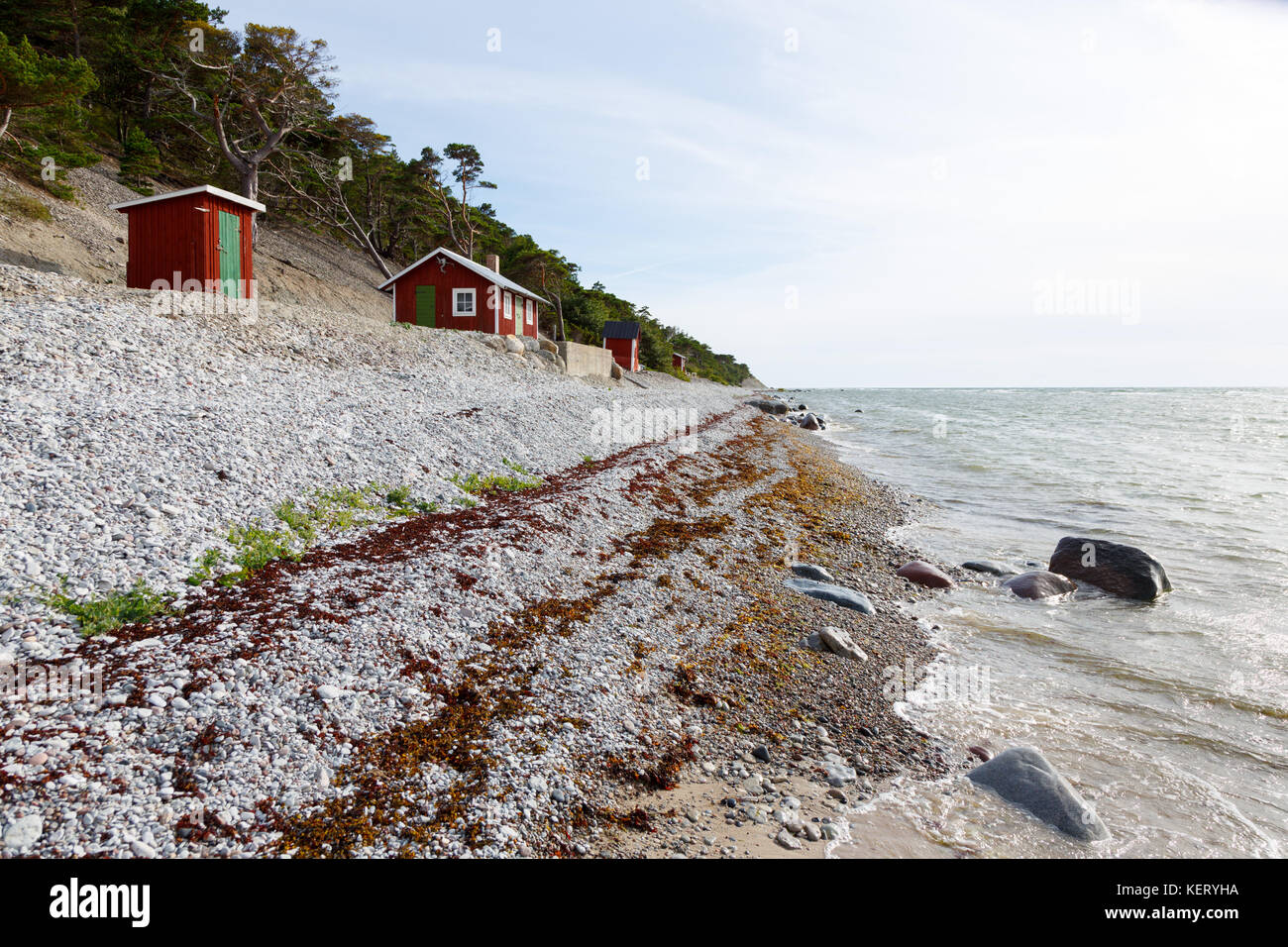 Isola di Gotland sul lato nord ovest dell'isola, con ripida e sassosa costa Foto Stock