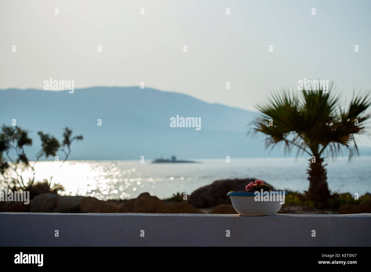 Caso con fiori di stare su una recinzione bassa Foto Stock