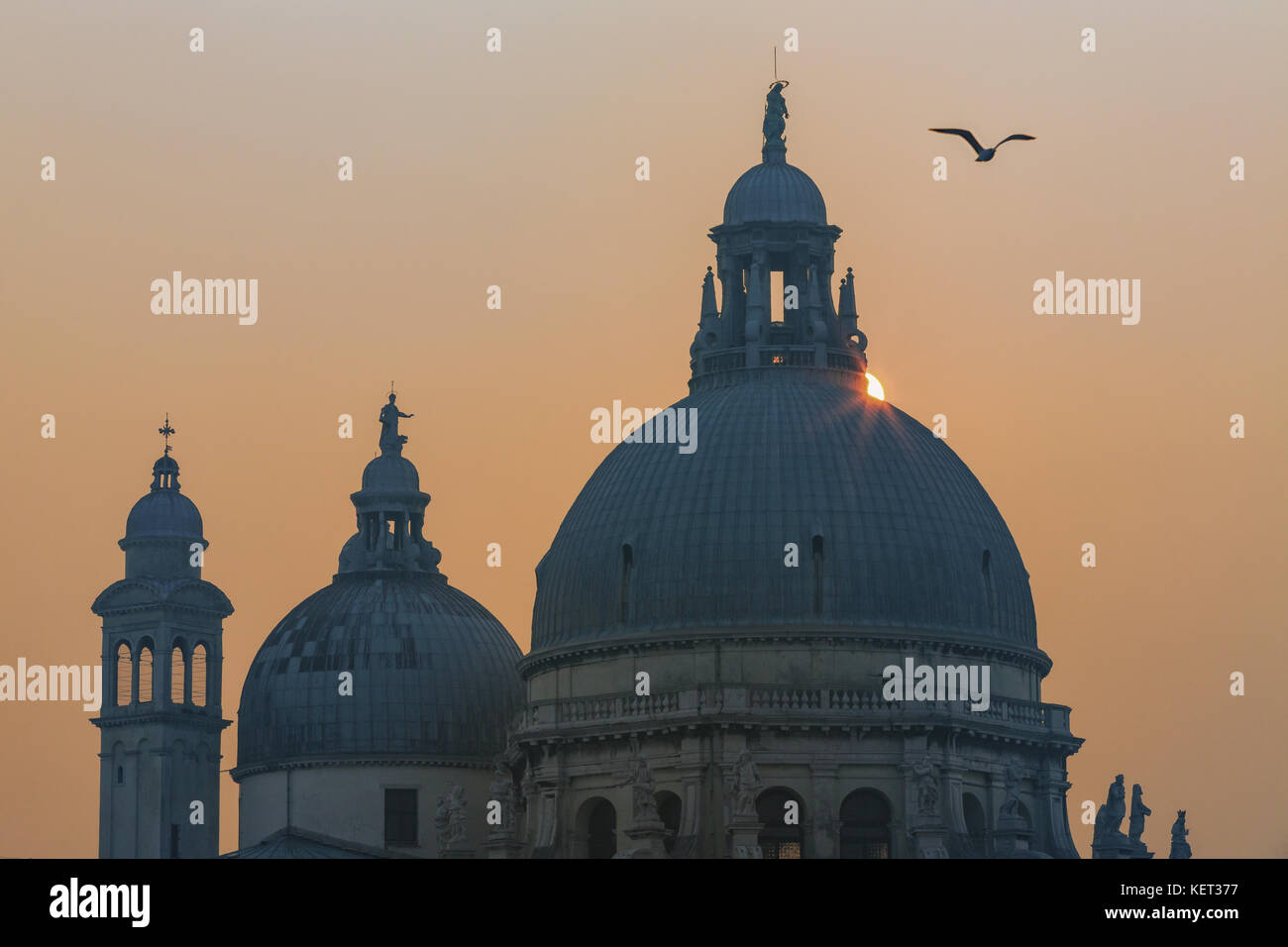 Santa Maria della Salute al tramonto, Venezia, Italia Foto Stock