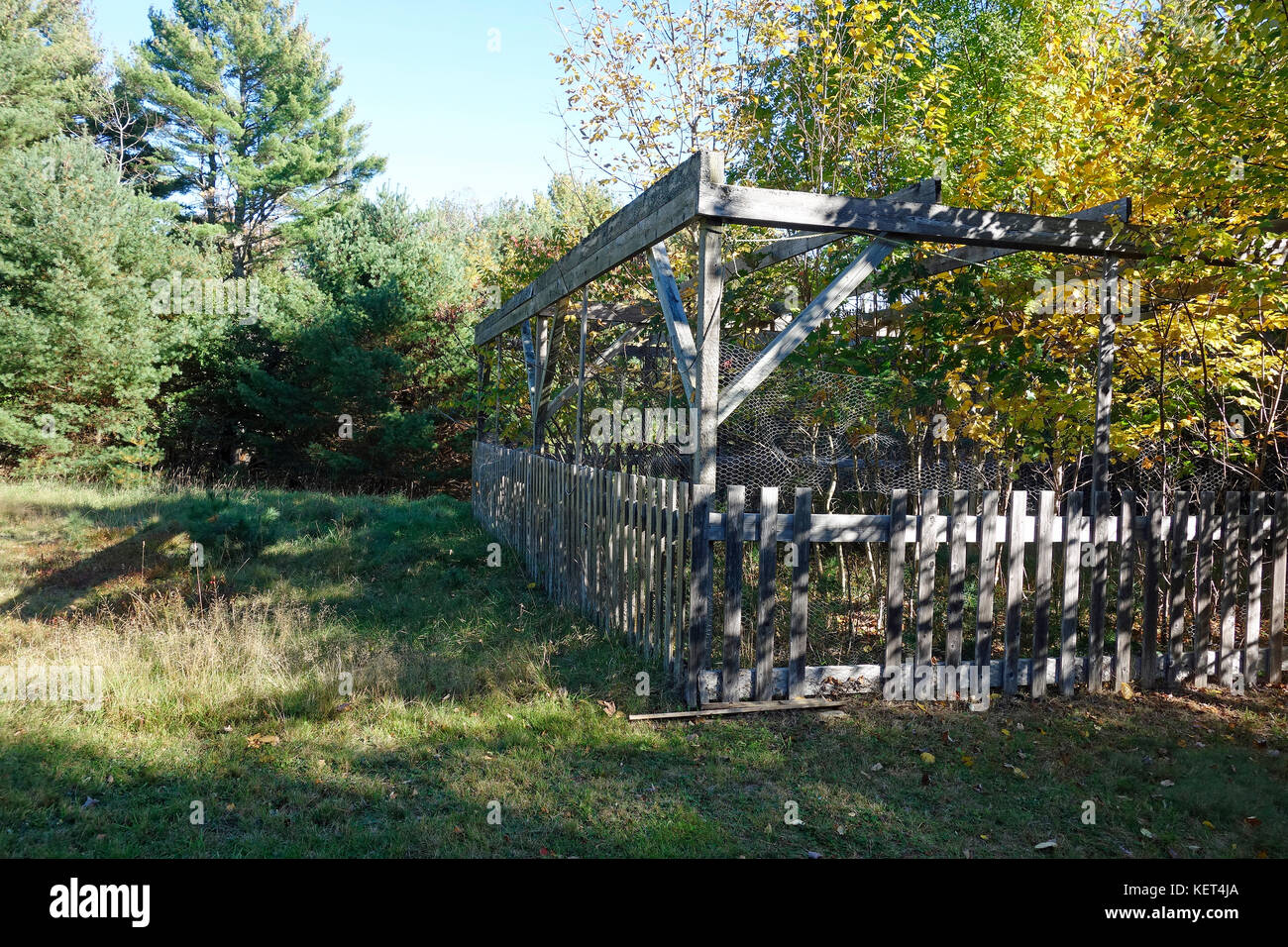 Un animale exclosure che mostra gli effetti di una navigazione in animali sulla vegetazione Foto Stock