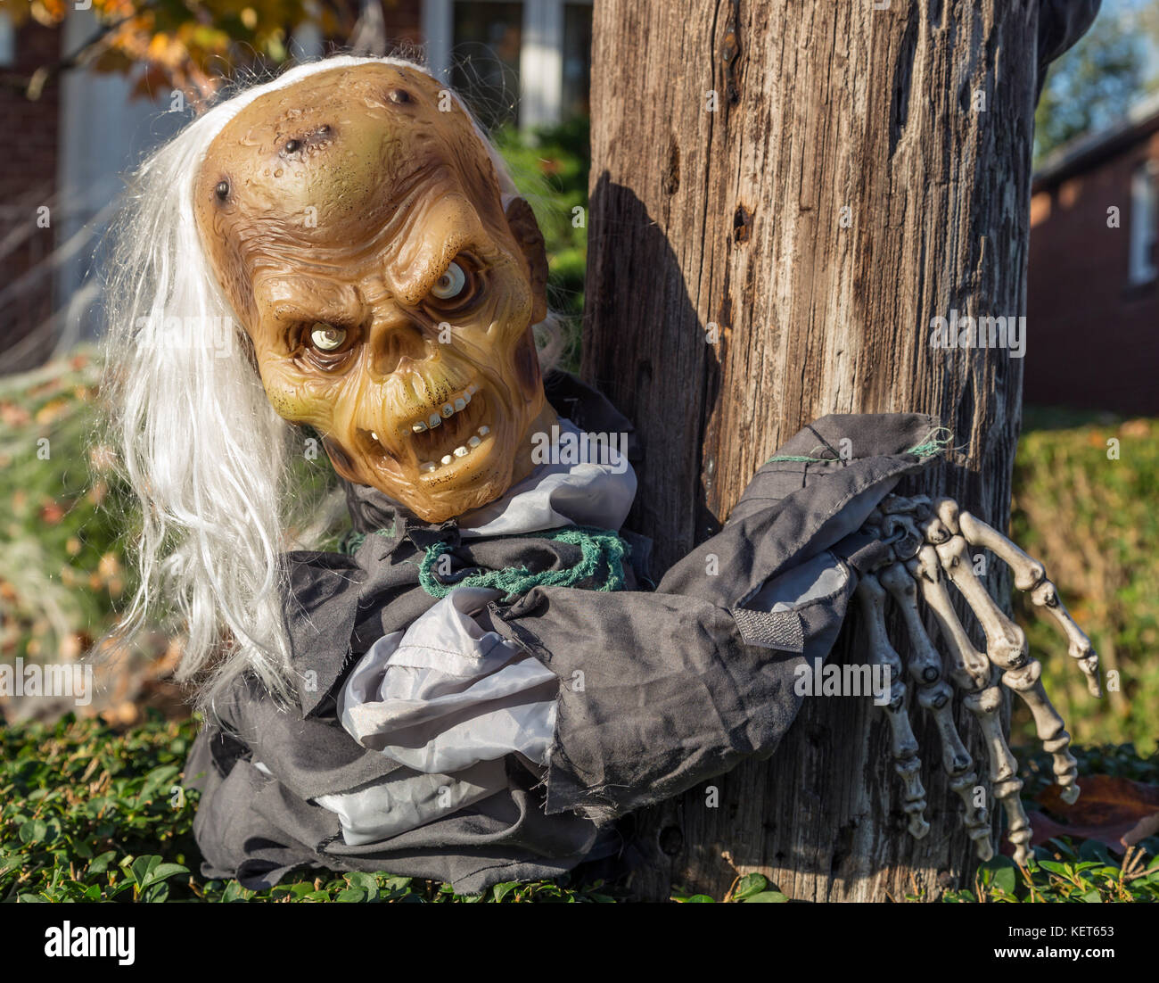 Halloween, horror, zombie Foto Stock
