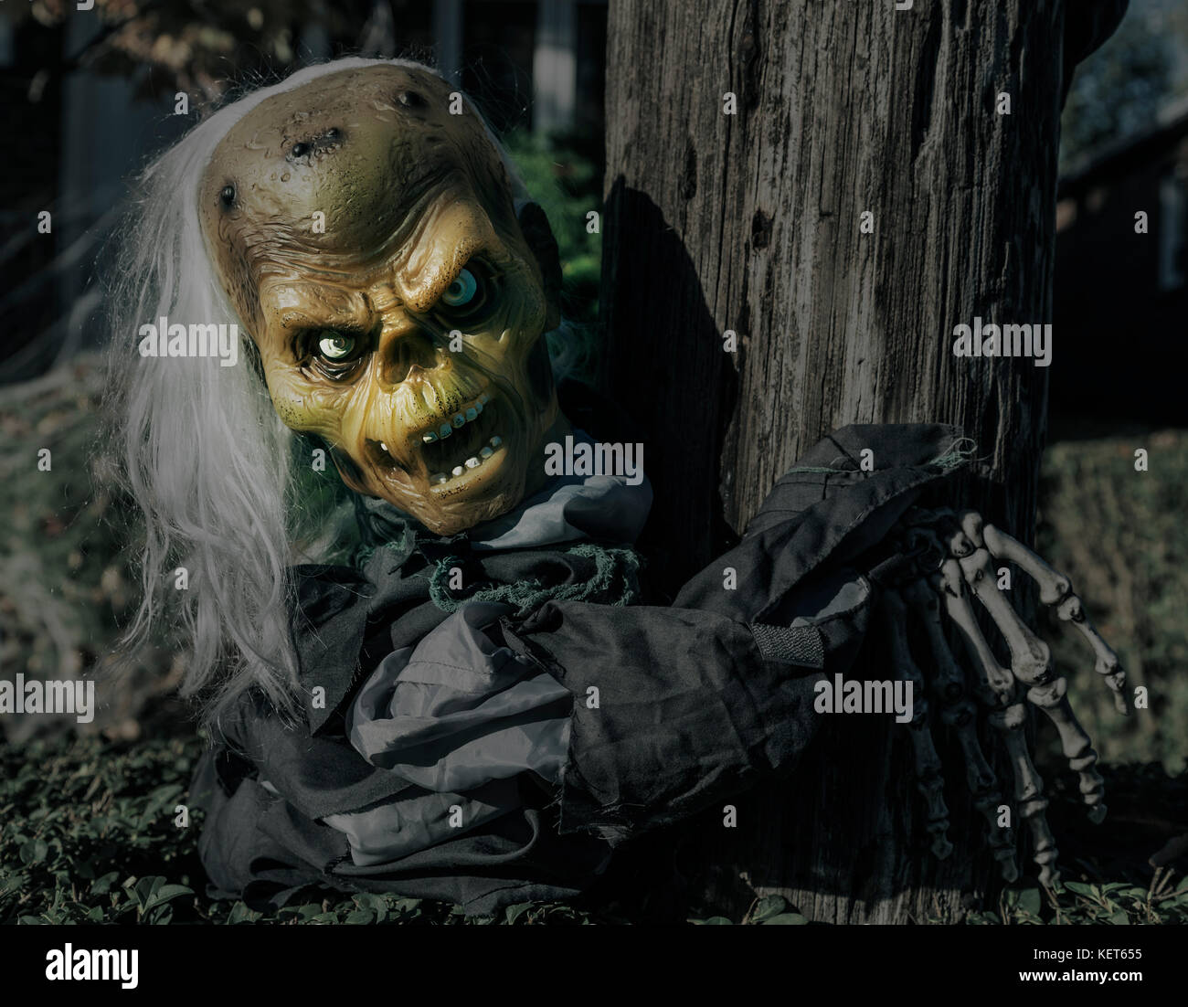 Halloween, horror, zombie Foto Stock