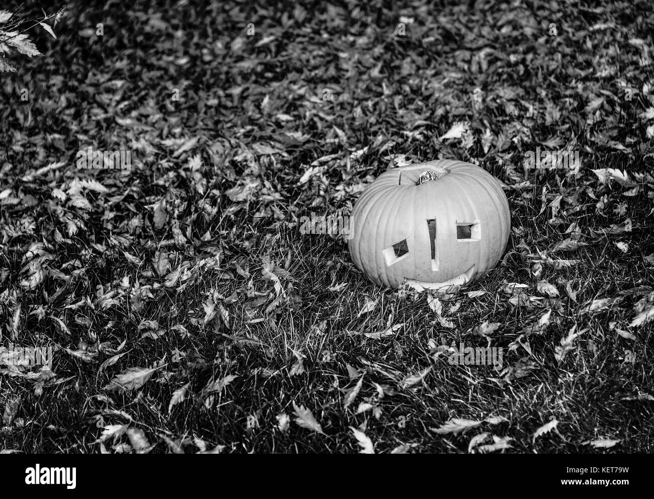 Dolcetto o scherzetto. Primo piano sulla zucca Jack O'Lanterna sull'erba nel parco Halloween Foto Stock