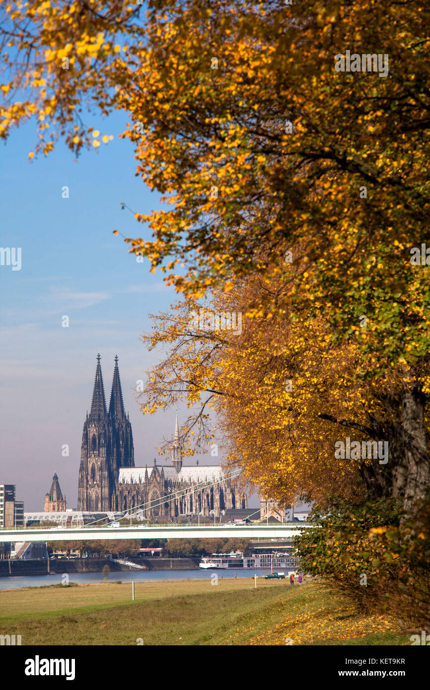 Germania, Colonia, vista dal prato del fiume Reno nel quartiere Deutz alla cattedrale e il ponte Severins. Deutschland, Koeln, Rheinwi Foto Stock