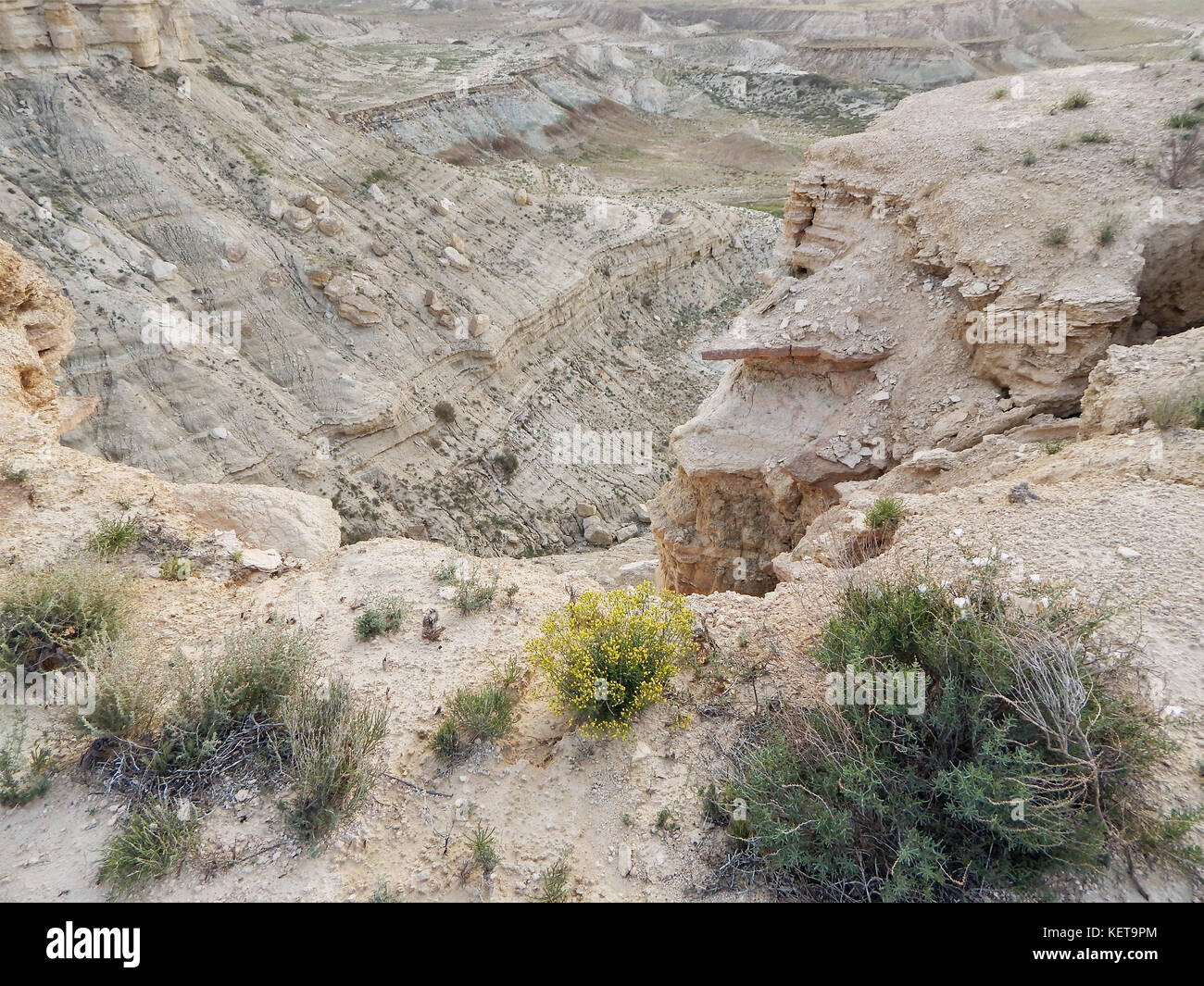 Rocce di steppa. cavità. arido paesaggio. Kazakistan. mangistau regione. Foto Stock