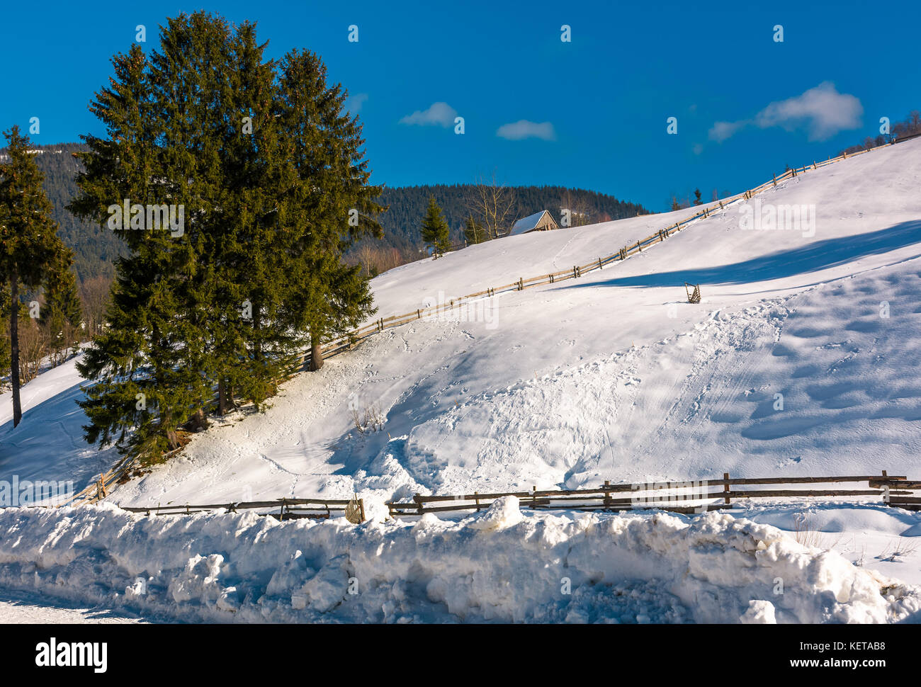 Abeti, legnaia e recinto sul pendio nevoso. bella campagna montana su una luminosa giornata invernale Foto Stock