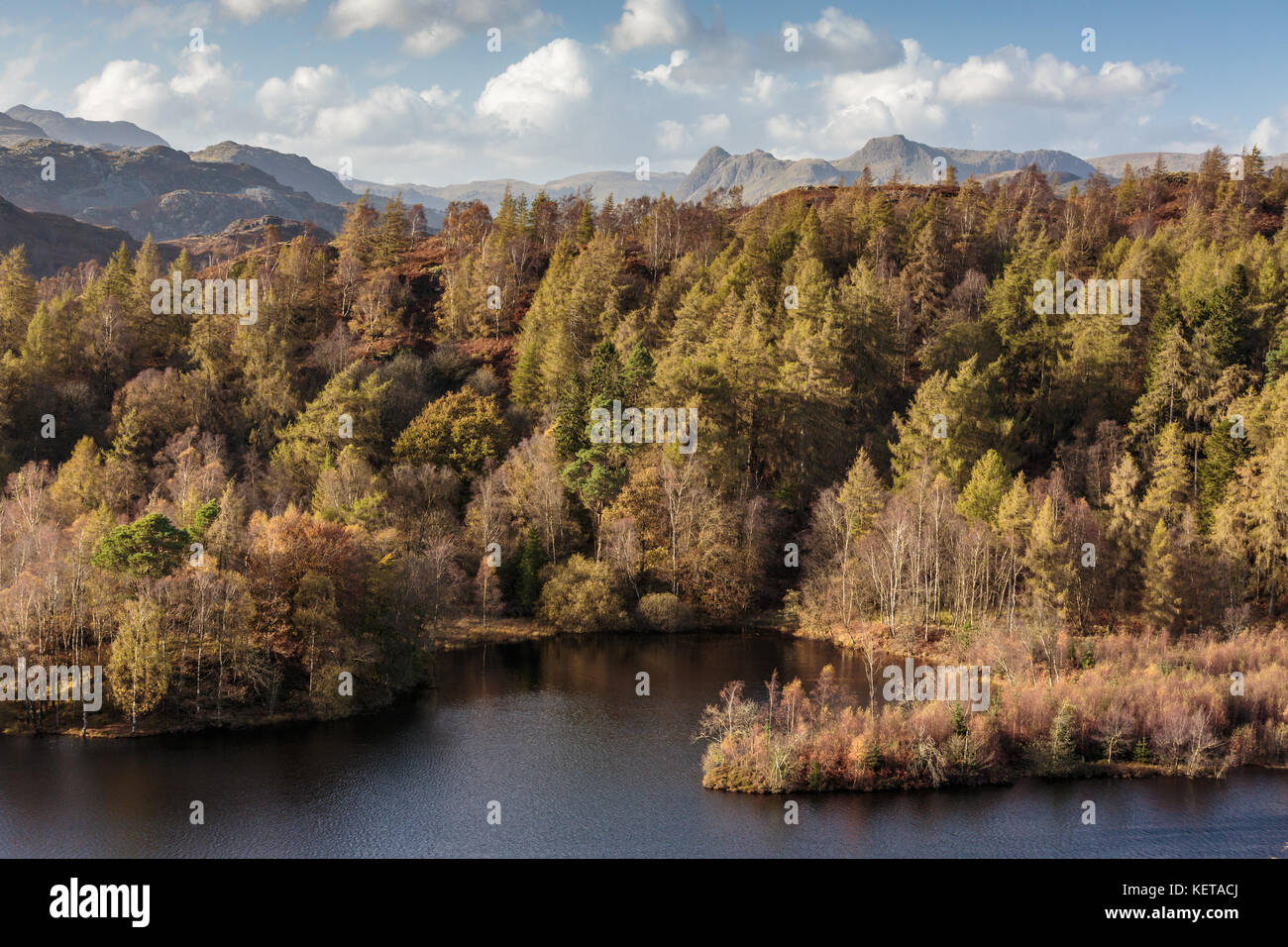 Langdale Pikes dal belvedere del Tarn Hows Foto Stock