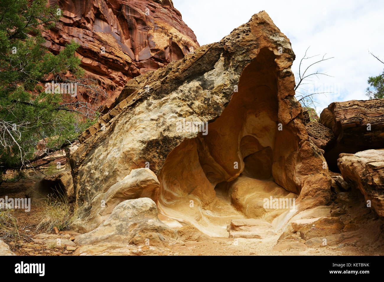 Erosione in una caverna nel Grand Canyon di lavaggio, Capital Reef National Park nello Utah, Stati Uniti d'America Foto Stock