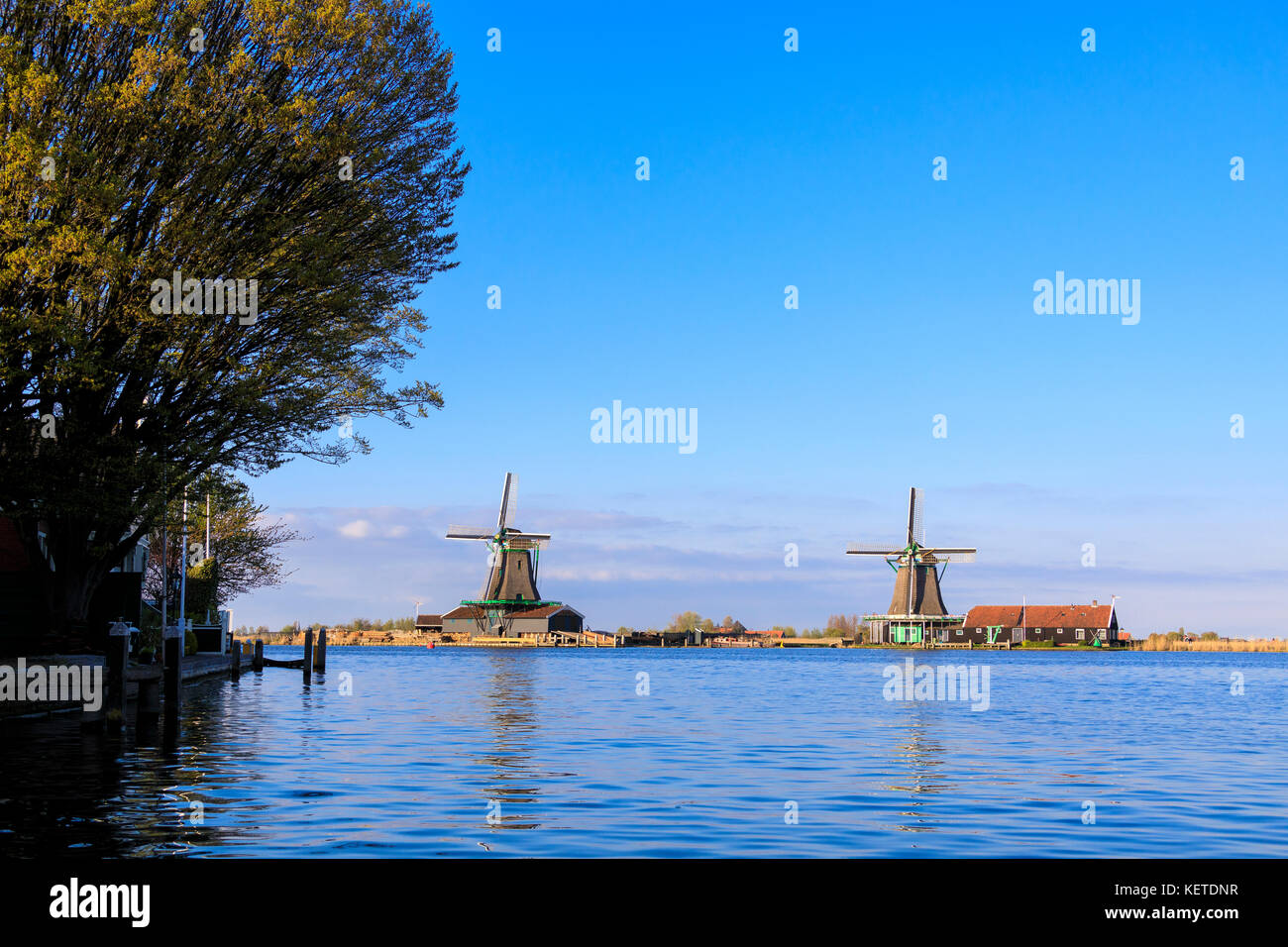 Mulini a vento tipico riflesso nell'acqua blu del fiume Zaan in primavera a Zaanse Schans Olanda settentrionale dei Paesi Bassi in Europa Foto Stock