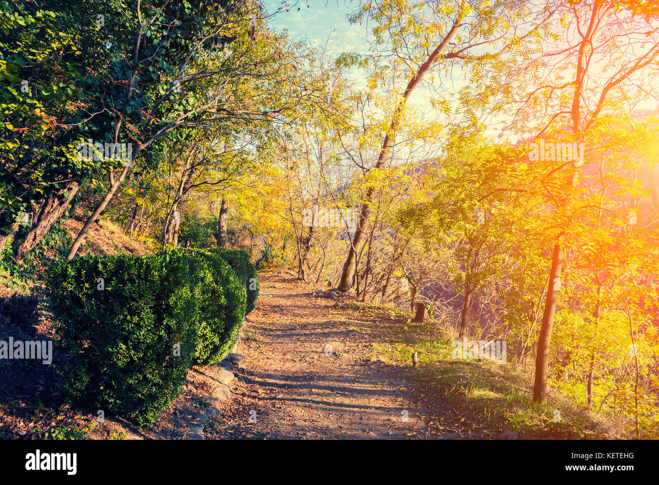Giardino botanico di tbilisi city al tramonto, Georgia. Foto Stock