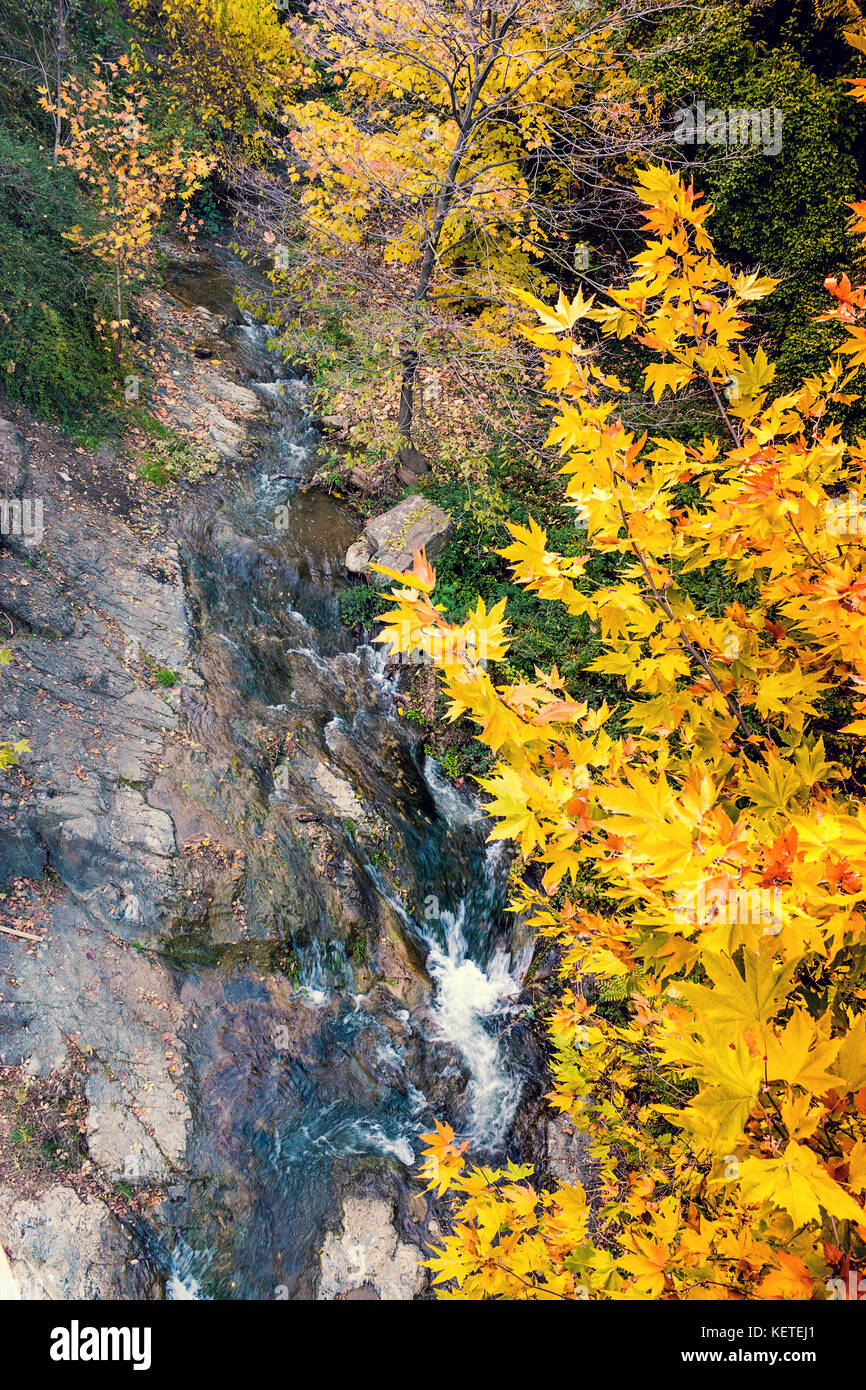 Giardino botanico di Tbilisi city al tramonto, Georgia. Foto Stock