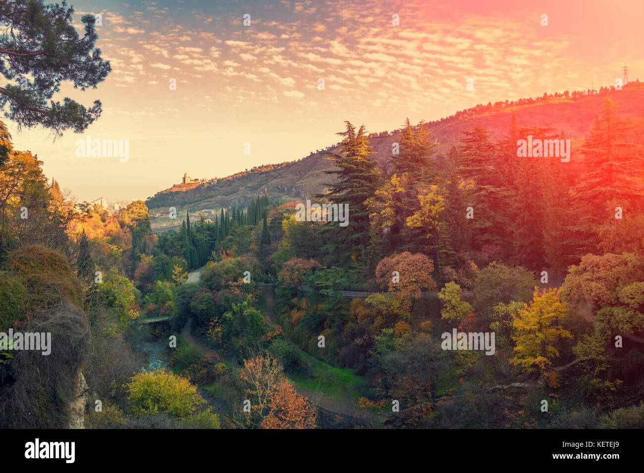 Vista panoramica del giardino botanico di Tbilisi city al tramonto, Georgia paese Foto Stock