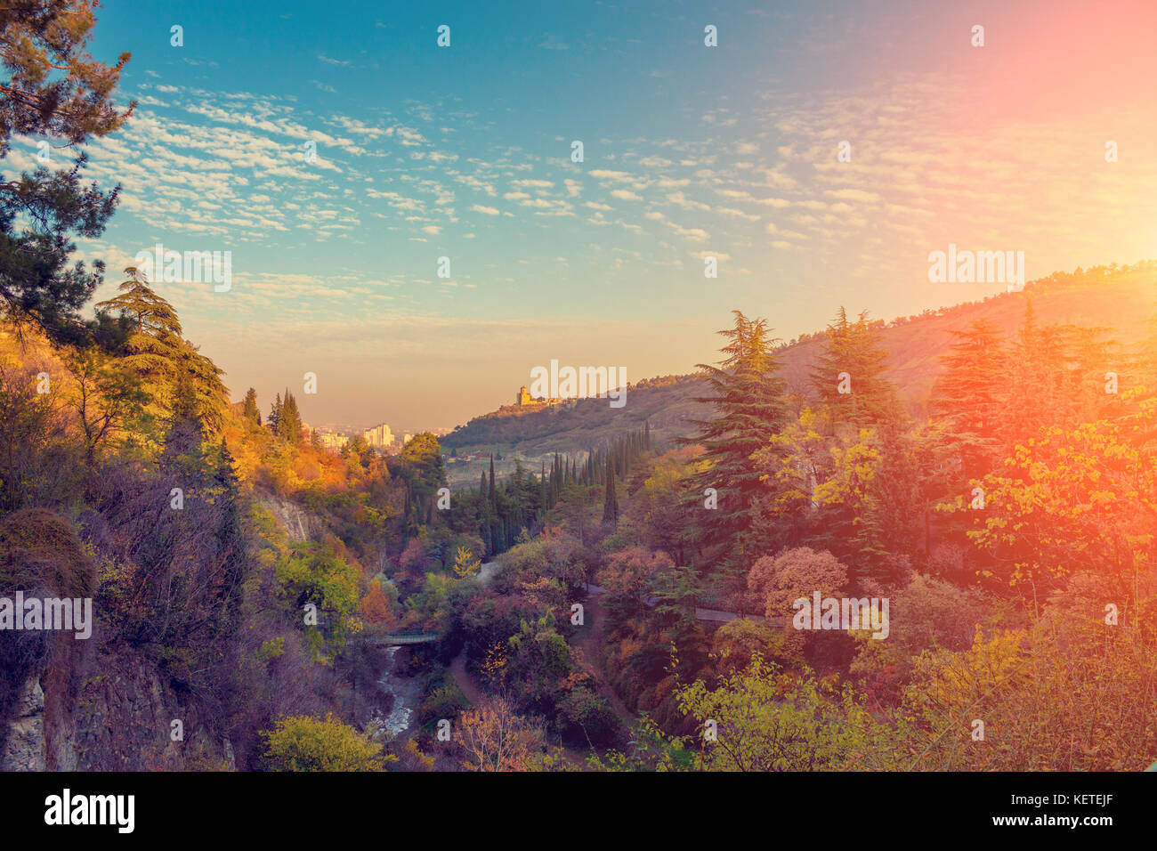 Vista panoramica del giardino botanico di Tbilisi city al tramonto, Georgia paese Foto Stock