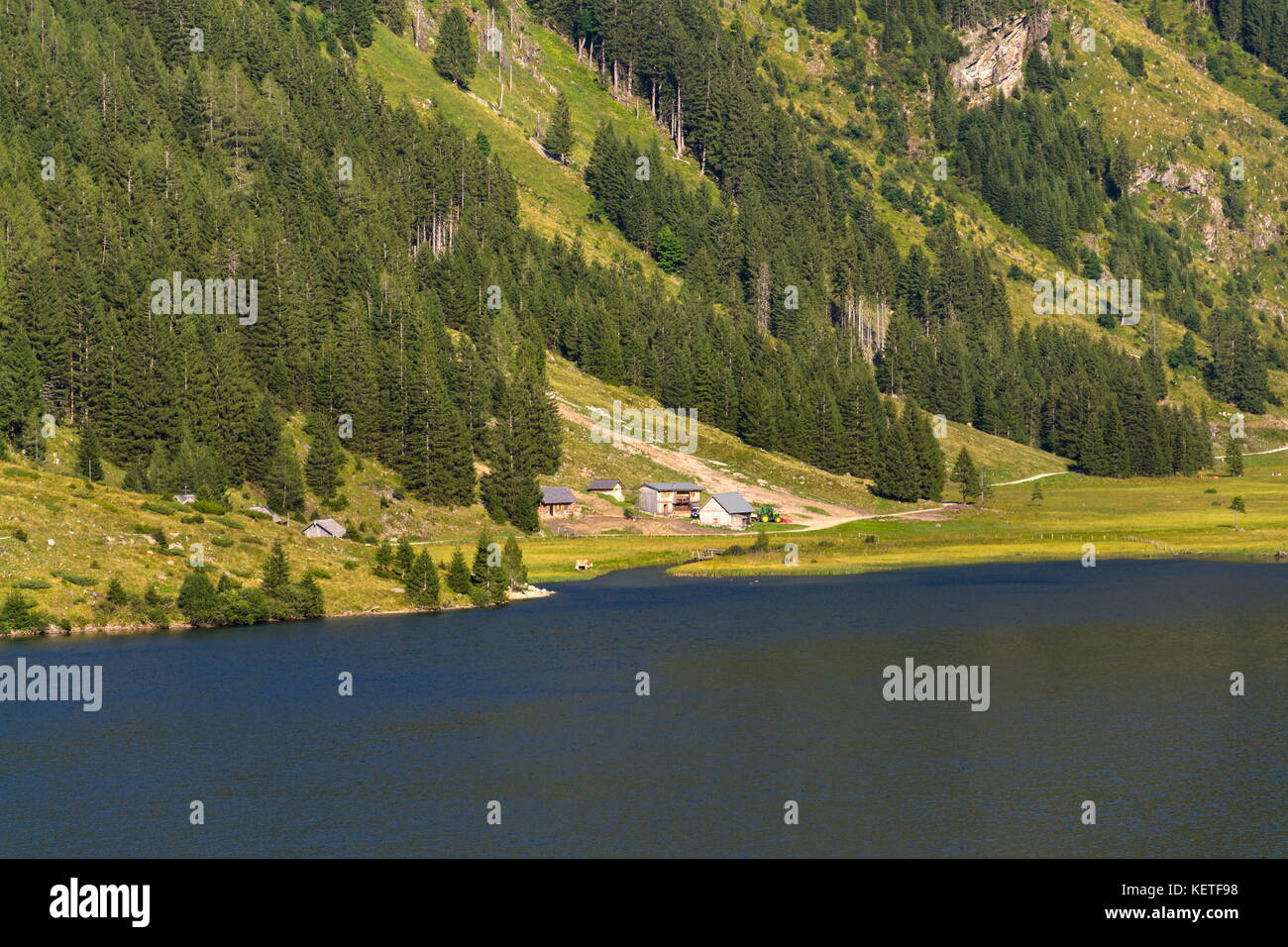 Alpine lago di montagna riesachsee mit riesachsfalle vicino a Schladming in Austria Foto Stock