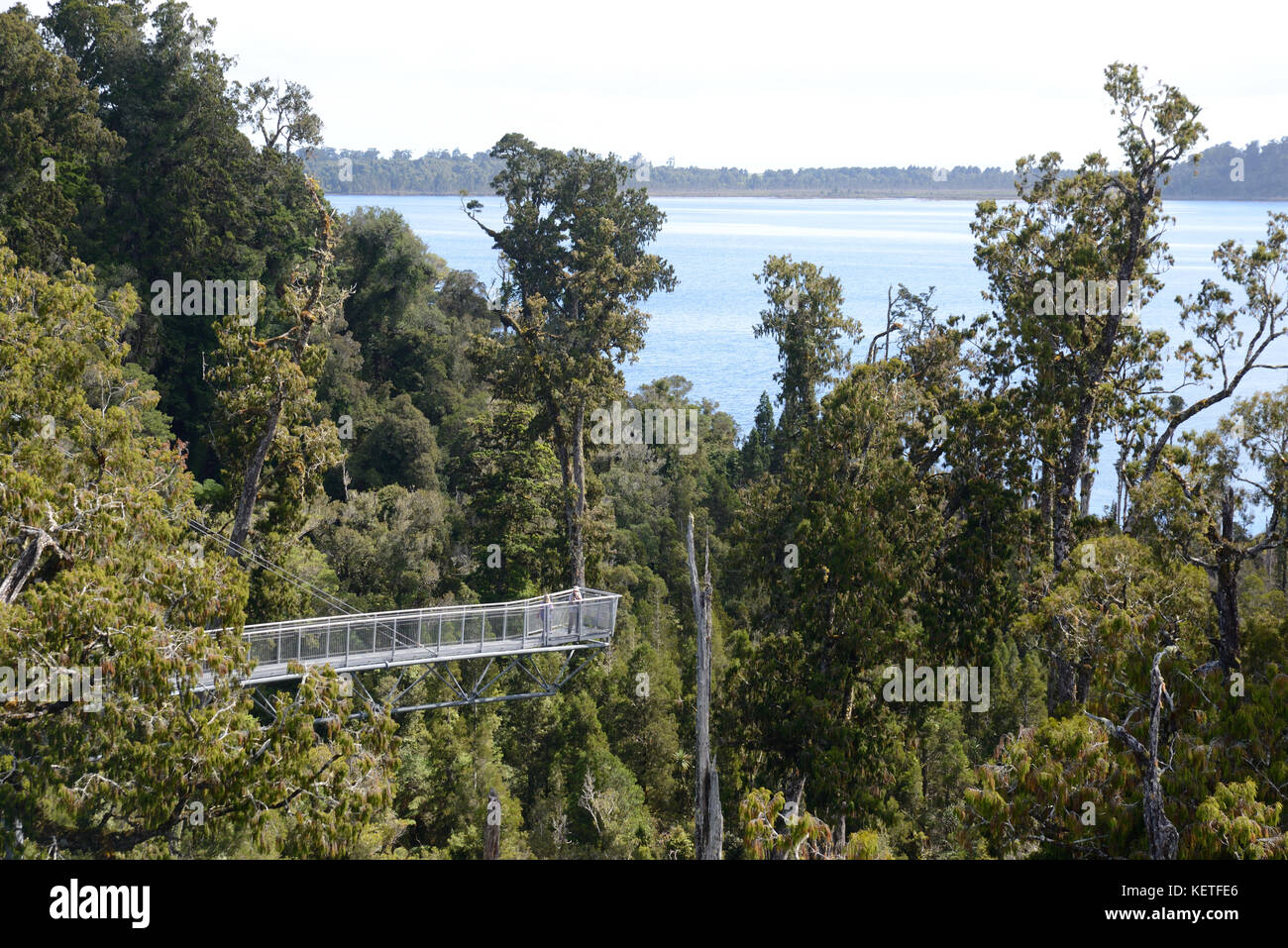 HOKITIKA, Nuova Zelanda, 10 marzo 2017: i visitatori godere la vista della foresta pluviale temperata e montagne dalla piattaforma a sbalzo sul Treetop Foto Stock