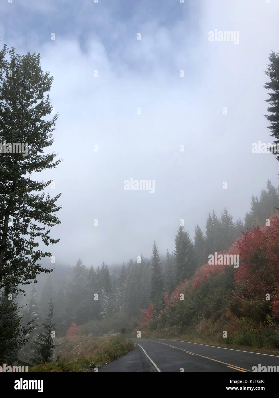 I colori autunnali nel Mount Rainier National Park Foto Stock