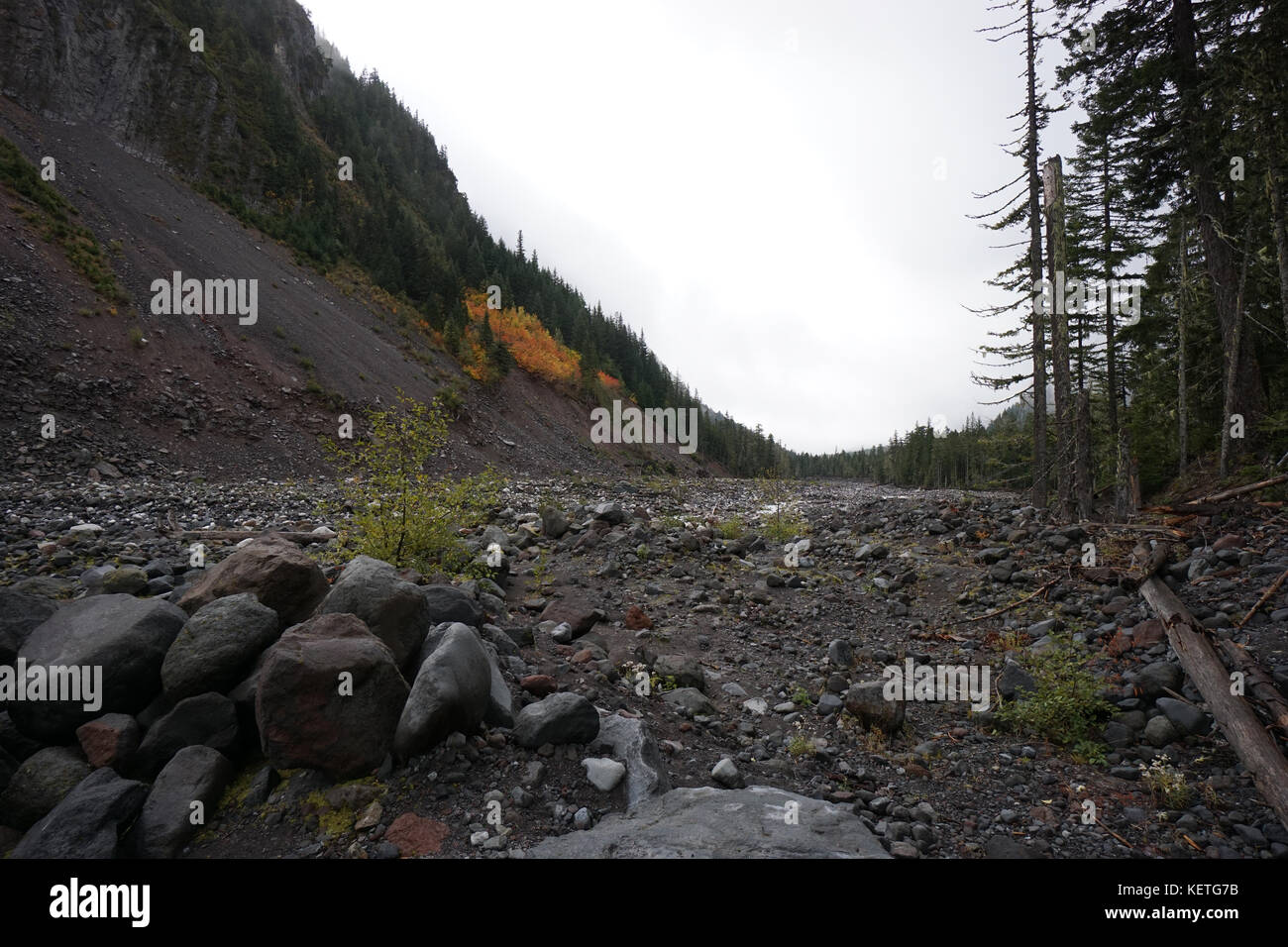 Il fiume nisqually nel Mount Rainier National Park Foto Stock
