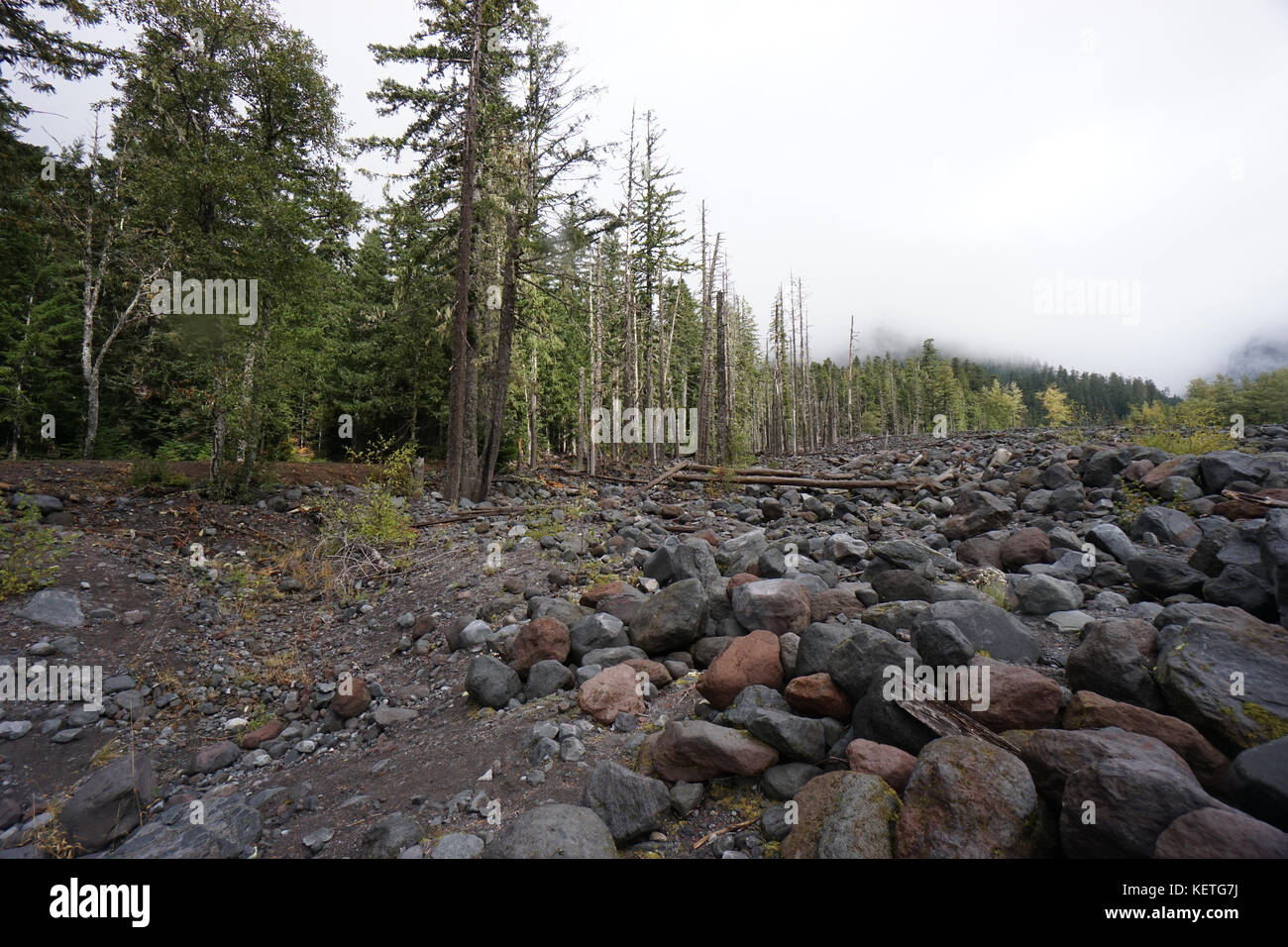 Il fiume nisqually nel Mount Rainier National Park Foto Stock